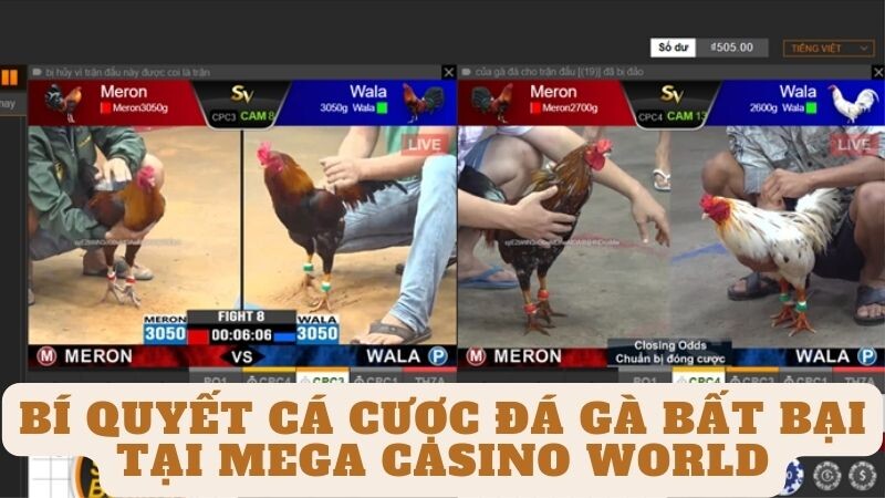 Bí Quyết Cá Cược Đá Gà Bất Bại tại Mega casino world
